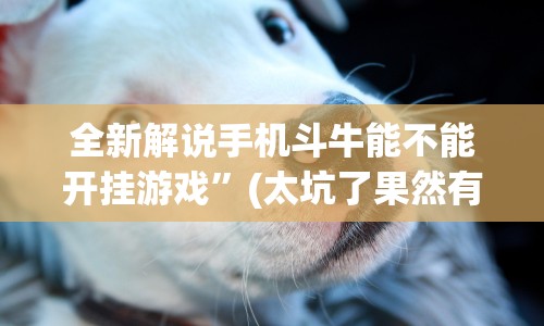 全新解说手机斗牛能不能开挂游戏”(太坑了果然有挂)