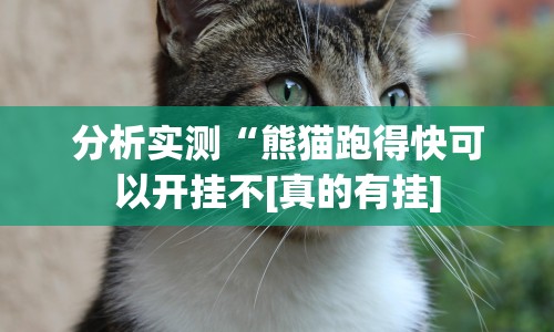 分析实测“熊猫跑得快可以开挂不[真的有挂]