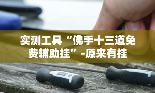 实测工具“佛手十三道免费辅助挂”-原来有挂