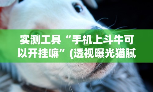 实测工具“手机上斗牛可以开挂嘛”(透视曝光猫腻)