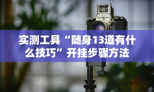 实测工具“随身13道有什么技巧”开挂步骤方法