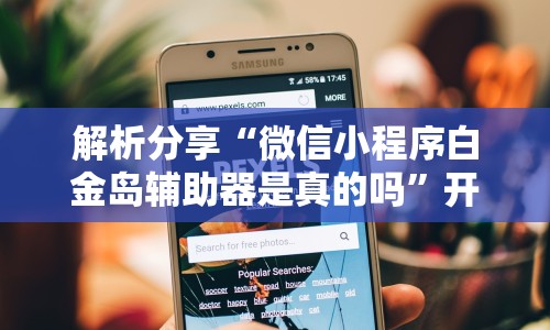 解析分享“微信小程序白金岛辅助器是真的吗”开挂辅助教程