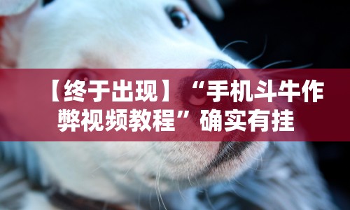 【终于出现】“手机斗牛作弊视频教程”确实有挂