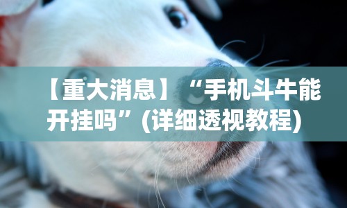 [推荐]“十三张麻将技巧口诀”(必备工具)辅助教学