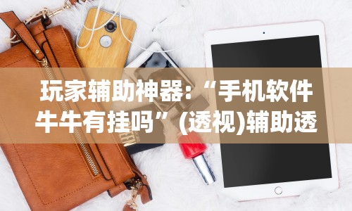 玩家辅助神器:“手机软件牛牛有挂吗”(透视)辅助透视教程