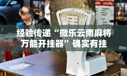 经验传递“微乐云南麻将万能开挂器”确实有挂