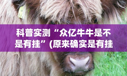 科普实测“众亿牛牛是不是有挂”(原来确实是有挂) 