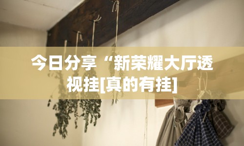 今日分享“新荣耀大厅透视挂[真的有挂]