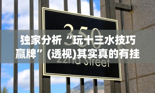 独家分析“玩十三水技巧赢牌”(透视)其实真的有挂