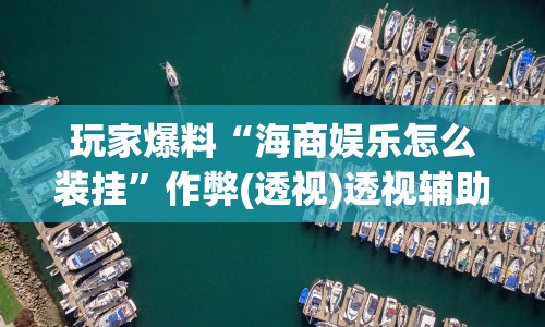 玩家爆料“海商娱乐怎么装挂”作弊(透视)透视辅助