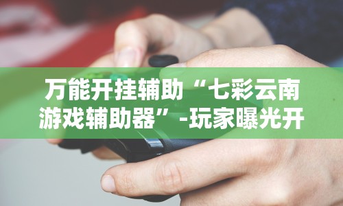 万能开挂辅助“七彩云南游戏辅助器”-玩家曝光开挂流程