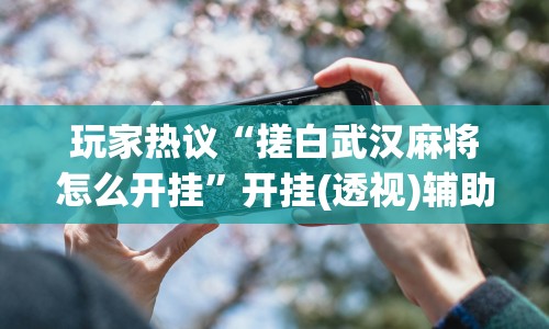 玩家热议“搓白武汉麻将怎么开挂”开挂(透视)辅助神器