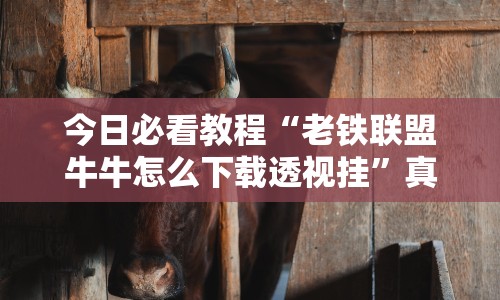 今日必看教程“老铁联盟牛牛怎么下载透视挂”真的有挂