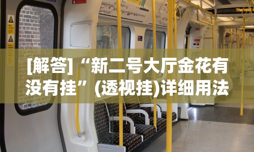 [解答]“新二号大厅金花有没有挂”(透视挂)详细用法教程