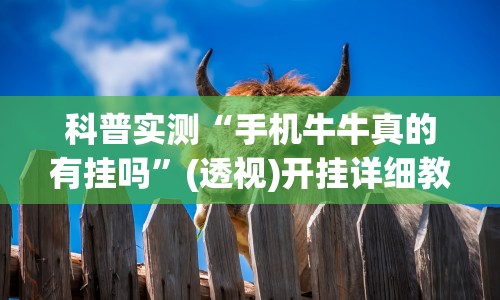 科普实测“手机牛牛真的有挂吗”(透视)开挂详细教程