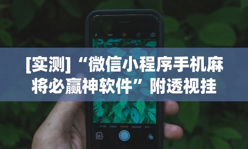 [实测]“微信小程序手机麻将必赢神软件”附透视挂详细教程