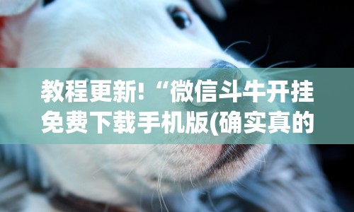 教程更新!“微信斗牛开挂免费下载手机版(确实真的有挂)