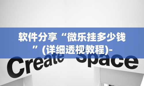 软件分享“微乐挂多少钱”(详细透视教程)-