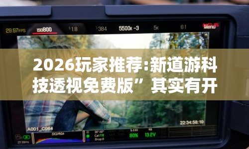 2026玩家推荐:新道游科技透视免费版”其实有开挂插件!
